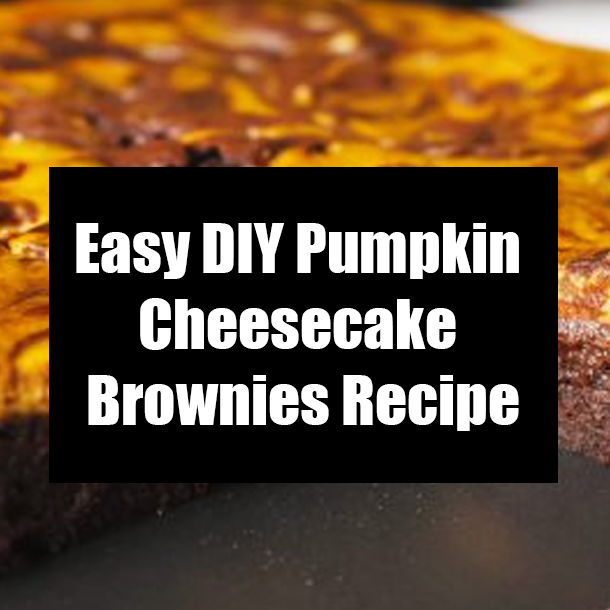 Easy DIY Pumpkin Cheesecake Brownies Recipe