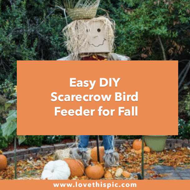 Easy DIY Scarecrow Bird Feeder for Fall
