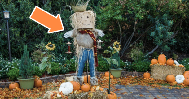 Easy DIY Scarecrow Bird Feeder for Fall - picture 2