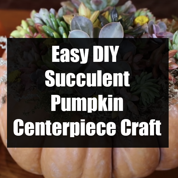 Easy DIY Succulent Pumpkin Centerpiece Craft