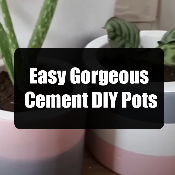 Easy Gorgeous Cement DIY Pots
