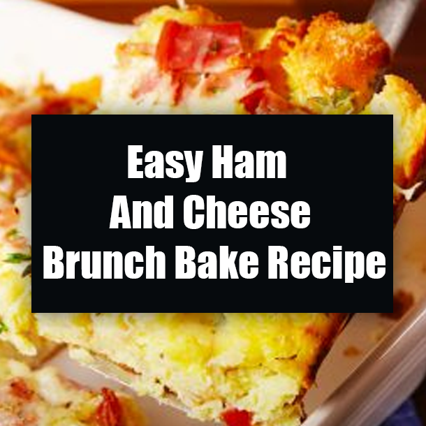Easy Ham And Cheese Brunch Bake Recipe