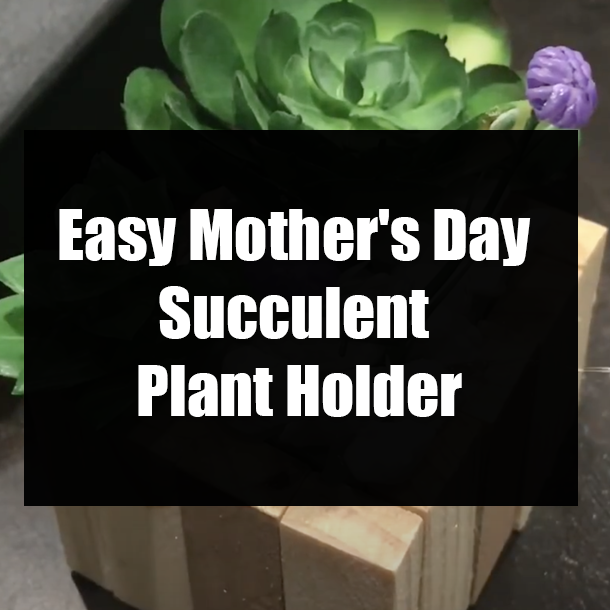 Easy Mother's Day Succulent Plant Holder