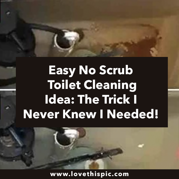 Easy No Scrub Toilet Cleaning Idea: The Trick I Never Knew I Needed!