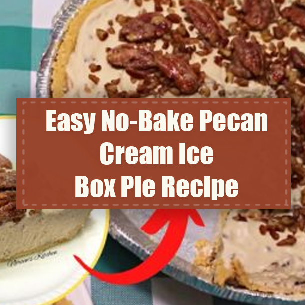 Easy No-Bake Pecan Cream Ice Box Pie Recipe