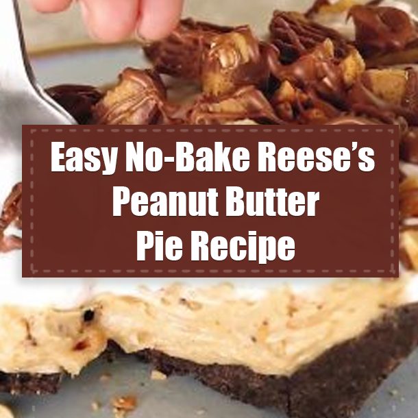 Easy No-Bake Reese’s Peanut Butter Pie Recipe