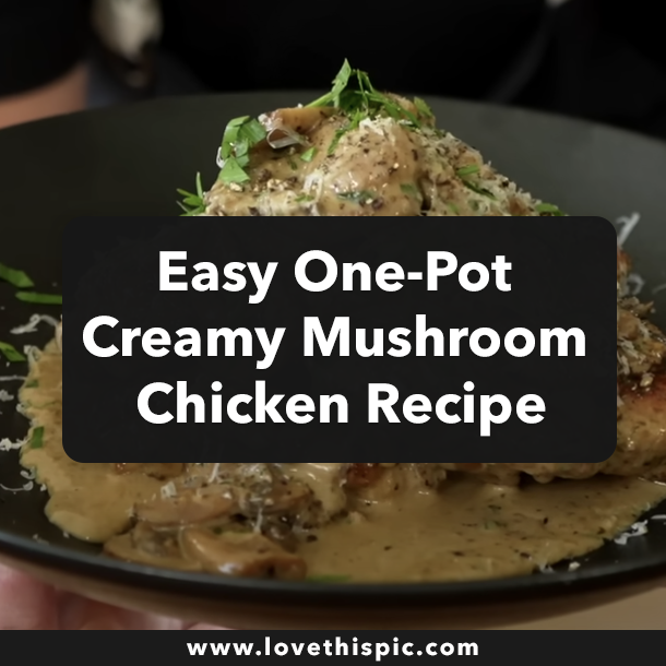 Easy One-Pot Creamy Mushroom Chicken Recipe