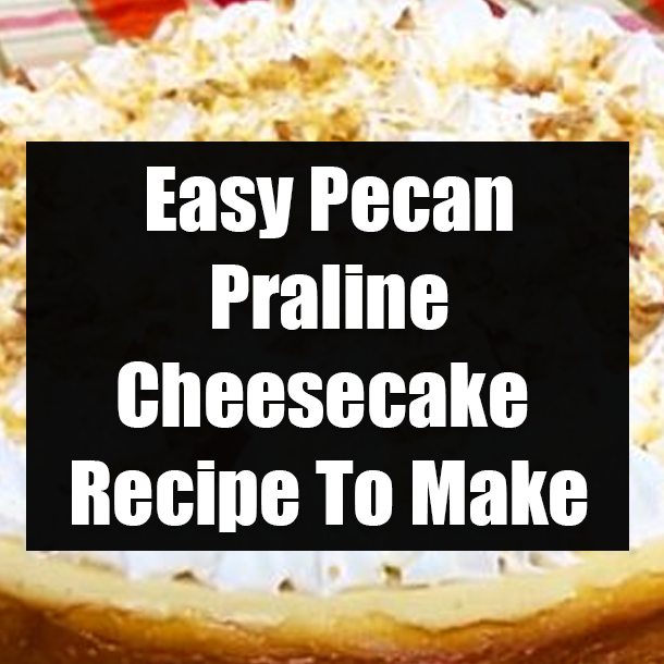 Easy Pecan Praline Cheesecake Recipe To Make