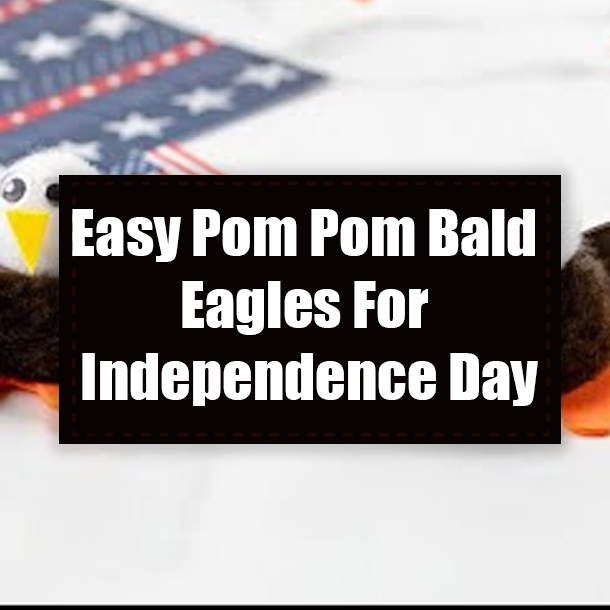 Easy Pom Pom Bald Eagles For Independence Day