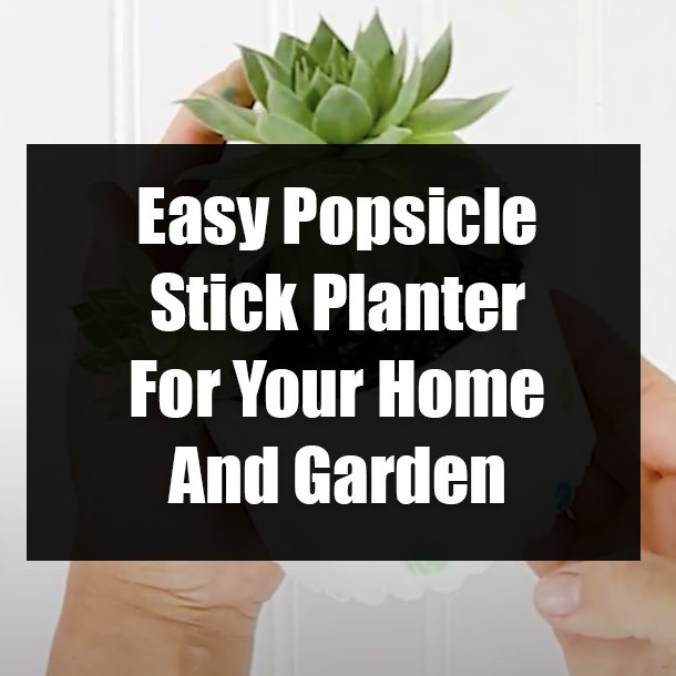 Easy Popsicle Stick Planter For Your Home And Garden