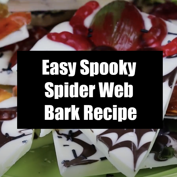 Easy Spooky Spider Web Bark Recipe
