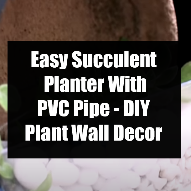 Easy Succulent Planter With PVC Pipe - DIY Plant Wall Decor