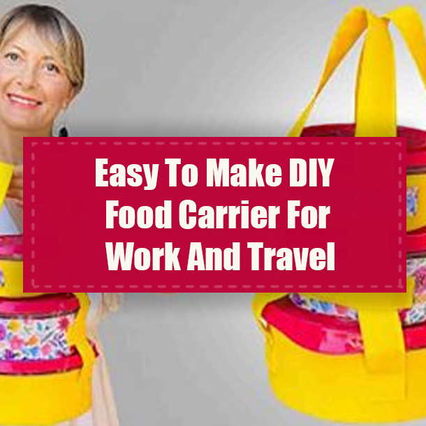 Easy To Make DIY Food Carrier For Work And Travel