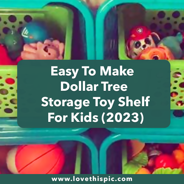 Easy To Make Dollar Tree Storage Toy Shelf For Kids (2023)