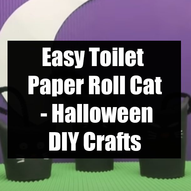 Easy Toilet Paper Roll Cat - Halloween DIY Crafts