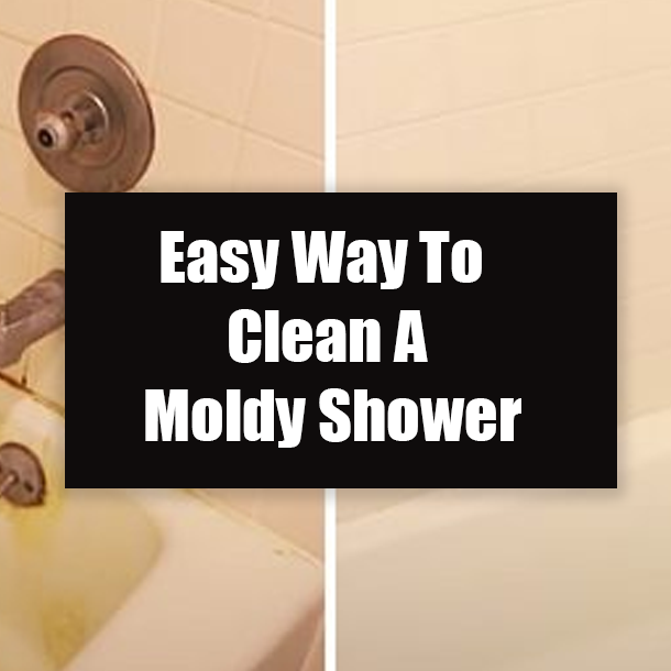 Easy Way To Clean A Moldy Shower