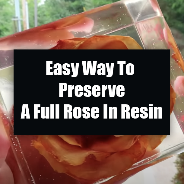 Easy Way To Preserve A Full Rose In Resin