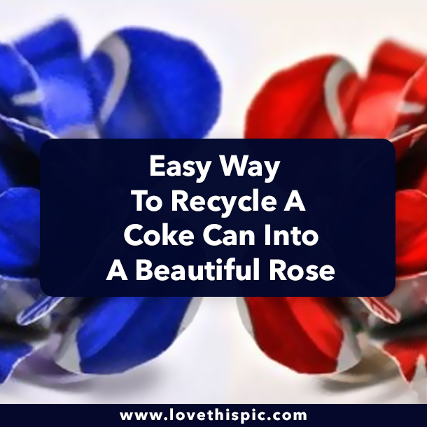 Easy Way To Recycle A Coke Can Into A Beautiful Rose