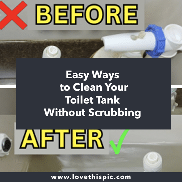 Easy Ways to Clean Your Toilet Tank Without Scrubbing
