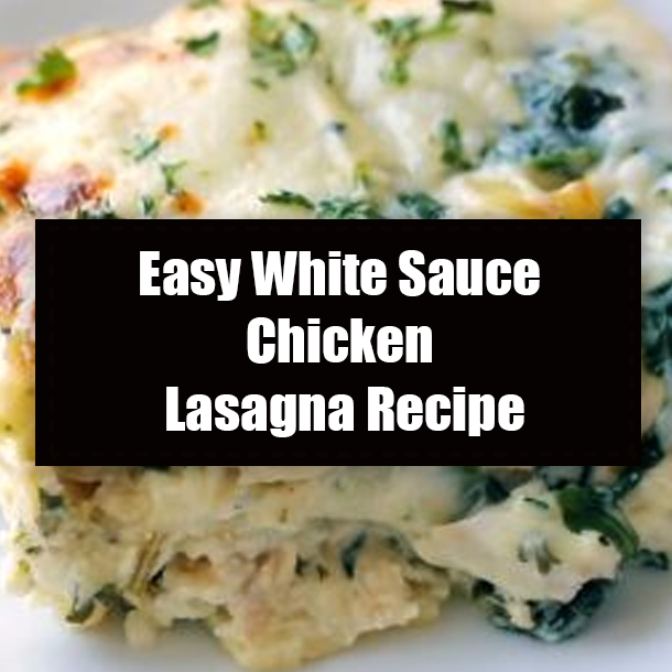 Easy White Sauce Chicken Lasagna Recipe