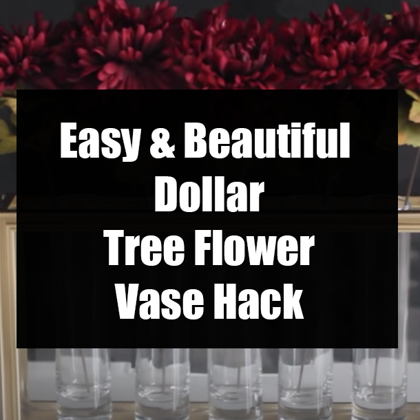 Easy & Beautiful Dollar Tree Flower Vase Hack