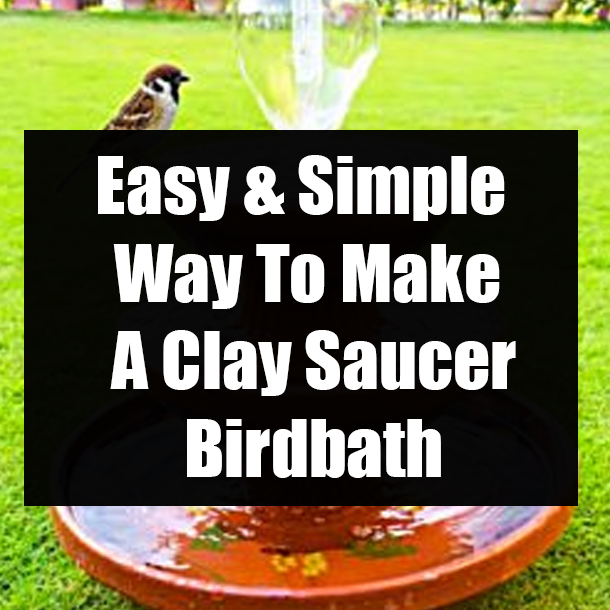 Easy & Simple Way To Make A Clay Saucer Birdbath