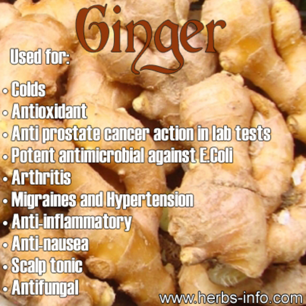 Eating Just A Little Bit Of Ginger Each Day Will Do This To Your Body....Powerful! - picture 8