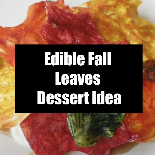 Edible Fall Leaves Dessert Idea