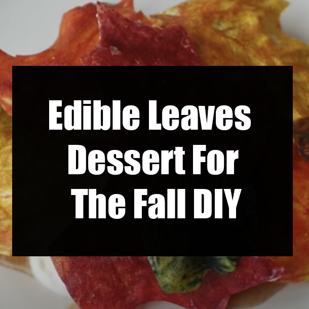 Edible Leaves Dessert For The Fall DIY