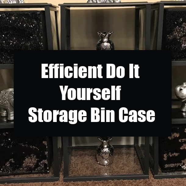 Efficient Do It Yourself Storage Bin Case
