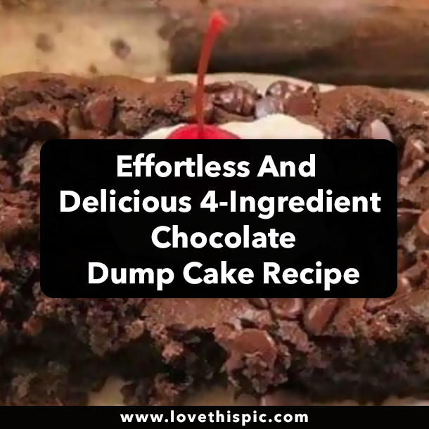 Effortless And Delicious 4-Ingredient Chocolate Dump Cake Recipe