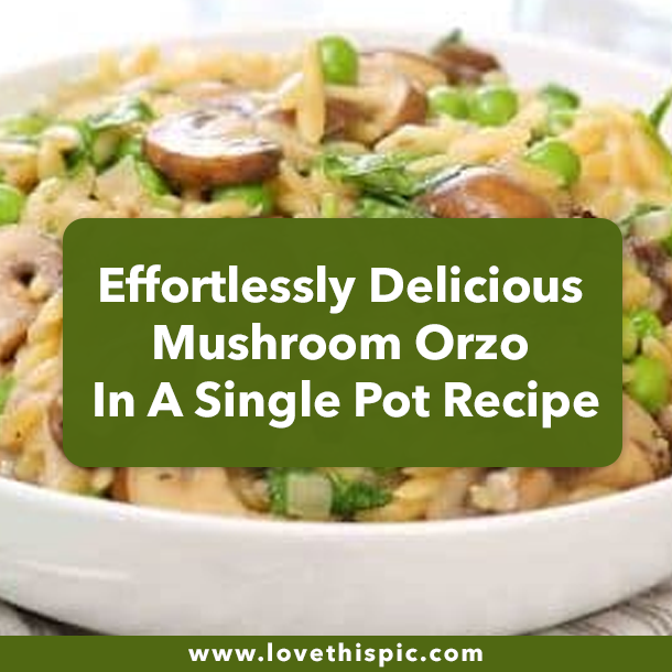 Effortlessly Delicious Mushroom Orzo In A Single Pot Recipe