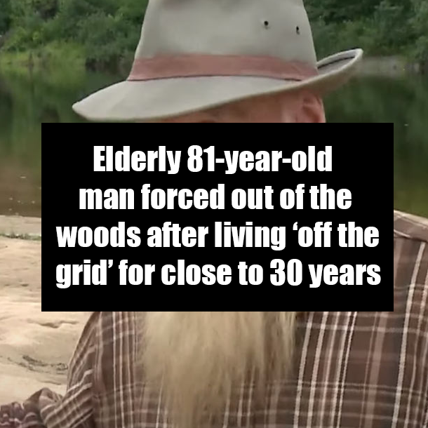 Elderly 81-year-old man forced out of the woods after living ‘off the grid’ for close to 30 years