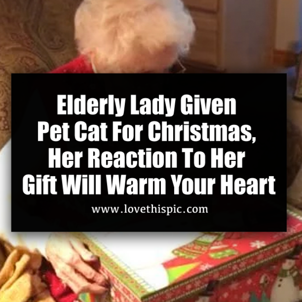 Elderly Lady Given Pet Cat For Christmas, Her Reaction To Her Gift Will Warm Your Heart