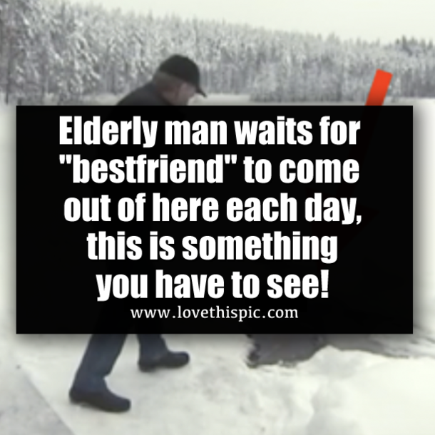 Elderly man waits for "bestfriend" to come out of here each day, this is something you have to see!