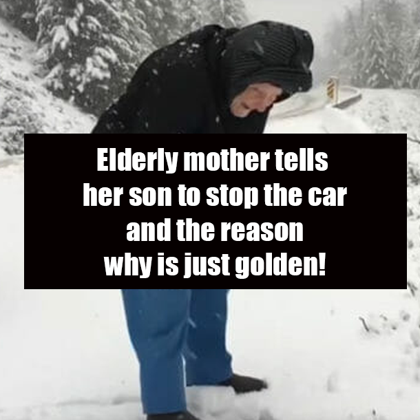 Elderly mother tells her son to stop the car and the reason why is just golden!