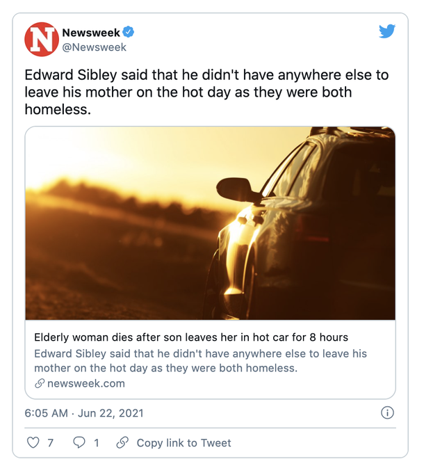 Elderly woman passes away after her son keeps her in hot car for 8 hours without a no cell phone - picture 2