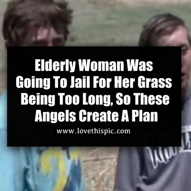 Elderly Woman Was Going To Jail For Her Grass Being Too Long, So These Angels Create A Plan