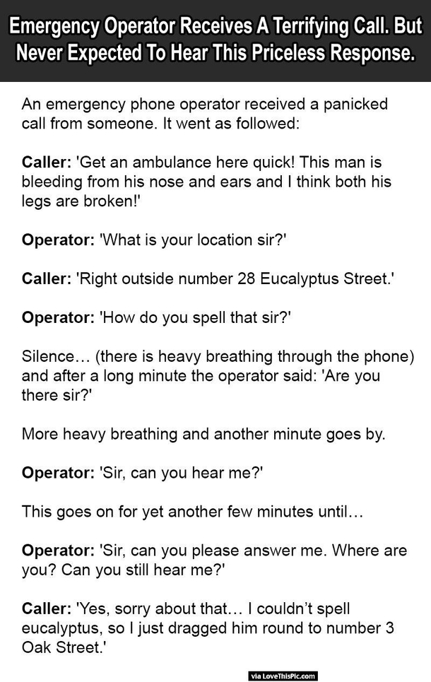 Emergency Operator Receives A Terrifying Call But Never Expected To Hear This Priceless Response