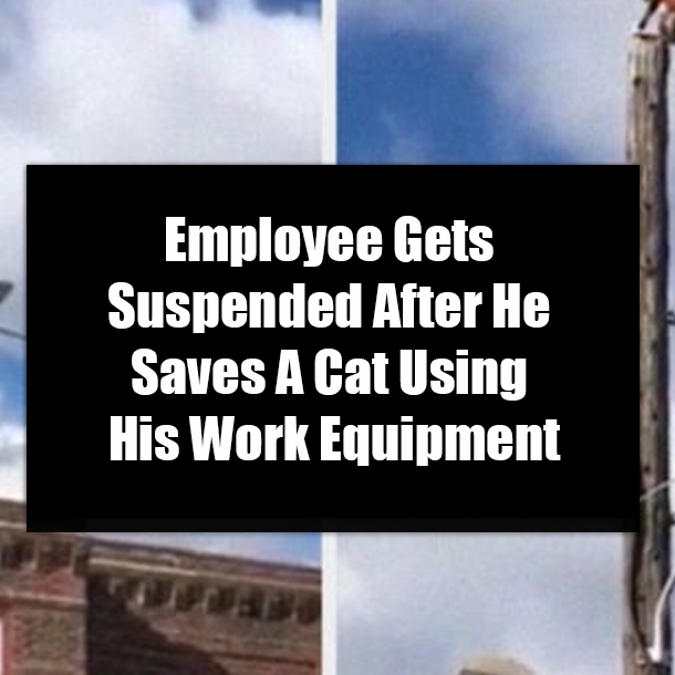 Employee Gets Suspended After He Saves A Cat Using His Work Equipment