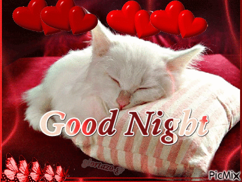 Enjoy Sweet Dreams With These 10 Good Night Gifs That You Will Love - picture 9