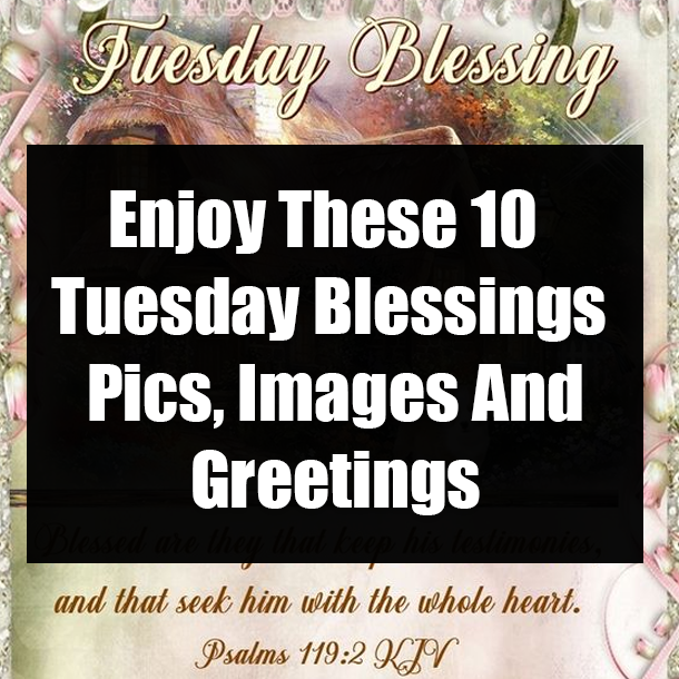 Enjoy These 10 Tuesday Blessings Pics, Images And Greetings