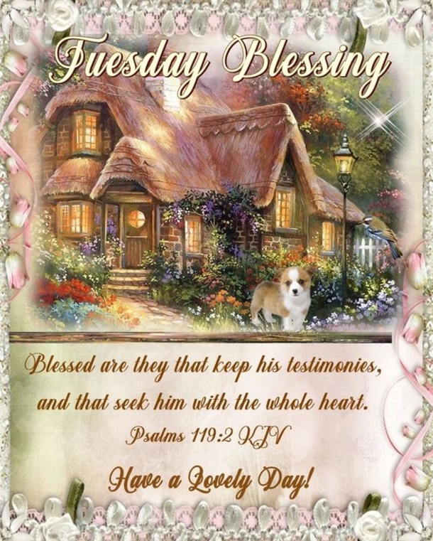 Enjoy These 10 Tuesday Blessings Pics, Images And Greetings - picture 10