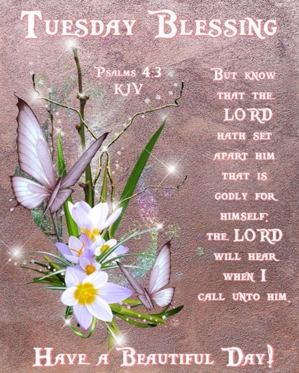 Enjoy These 10 Tuesday Blessings Pics, Images And Greetings - picture 2