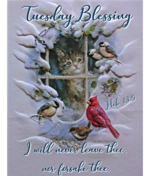 Enjoy These 10 Tuesday Blessings Pics, Images And Greetings - picture 4