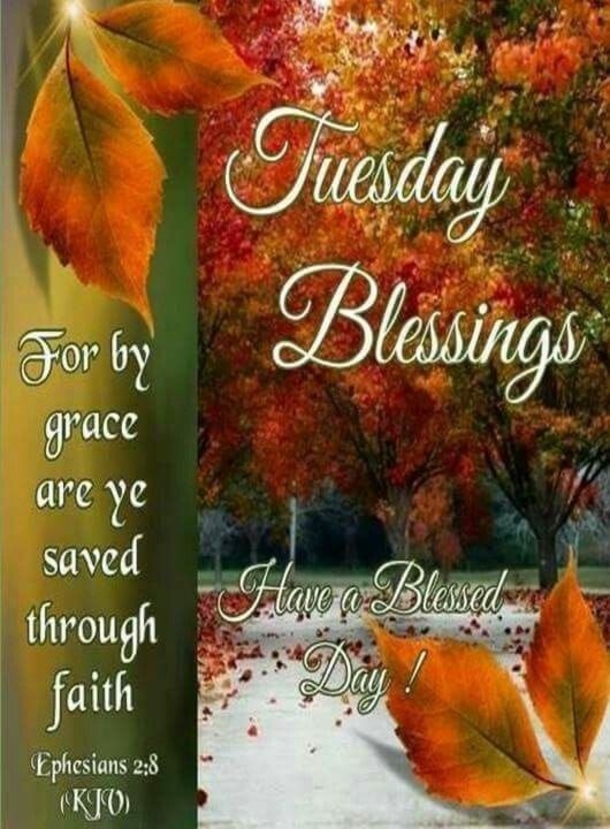 Enjoy These 10 Tuesday Blessings Pics, Images And Greetings - picture 5