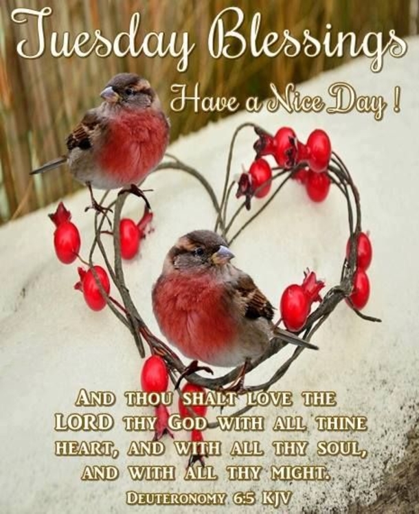 Enjoy These 10 Tuesday Blessings Pics, Images And Greetings - picture 6