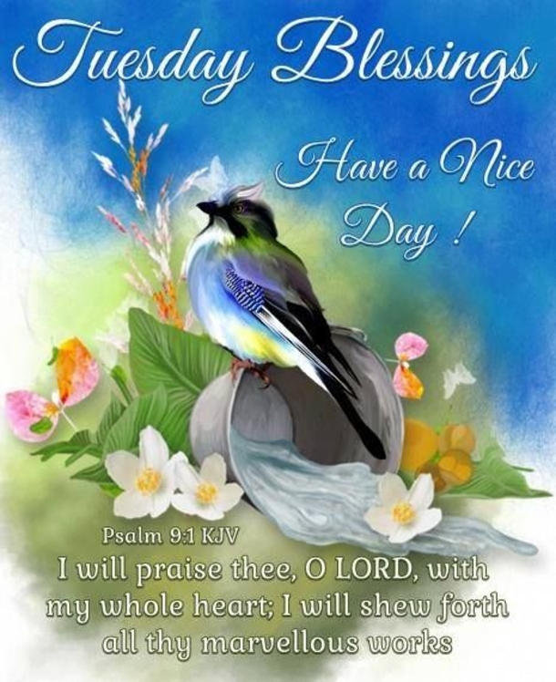 Enjoy These 10 Tuesday Blessings Pics, Images And Greetings - picture 7