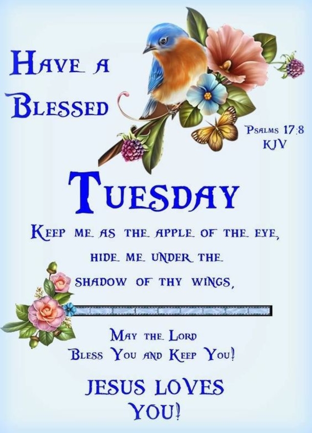 Enjoy These 10 Tuesday Blessings Pics, Images And Greetings - picture 8