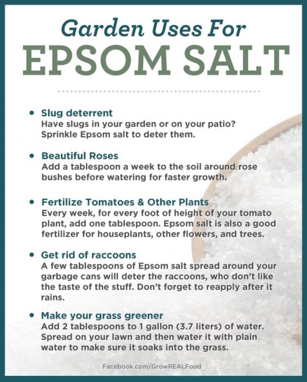 Every Gardener Should Keep Some Epsom Salt Around And This Is The Reason Why - picture 3